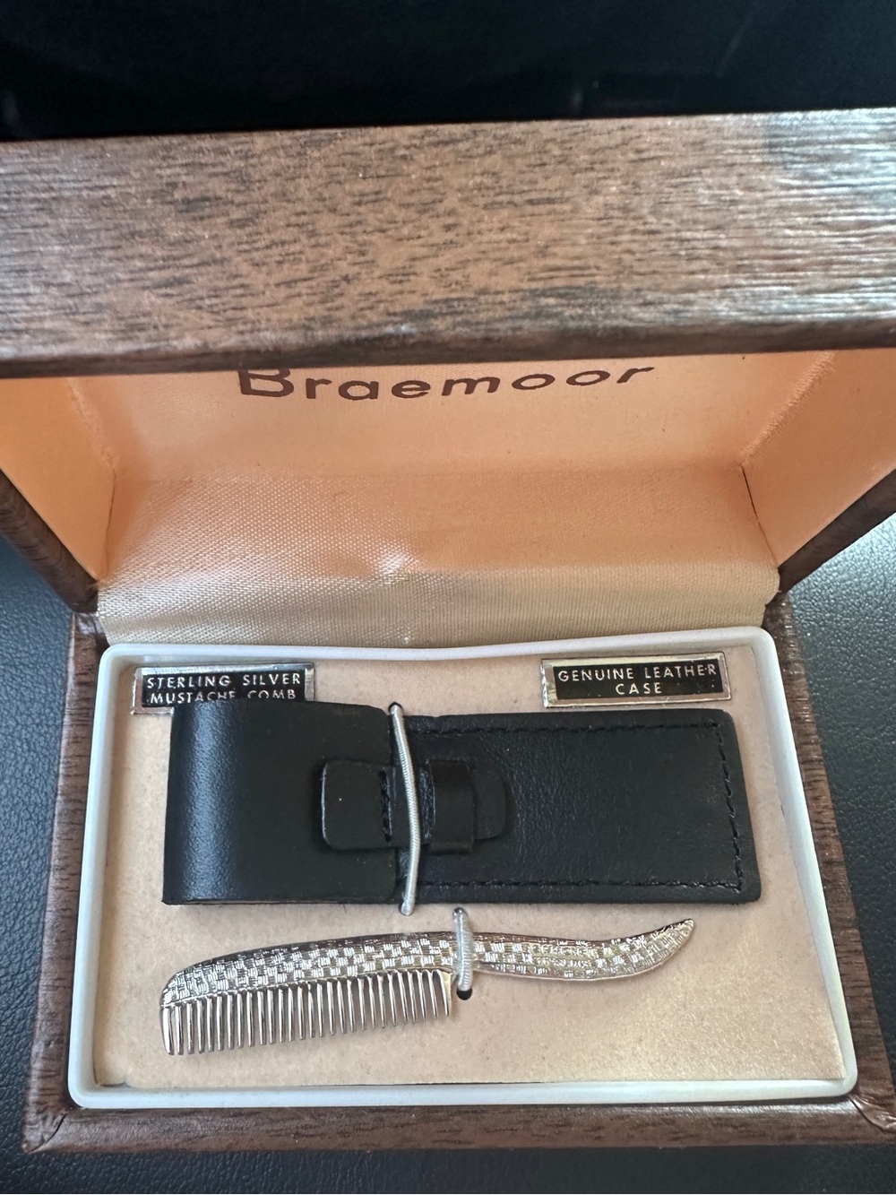 Sterling Silver Mustache Comb with Black Leather Case